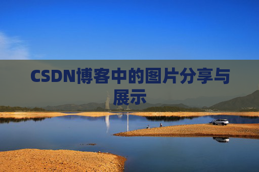 CSDN博客中的图片分享与展示